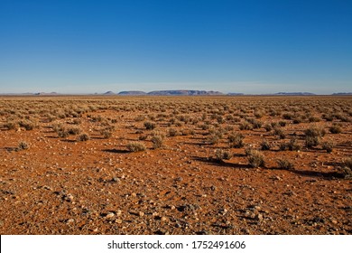 The Bushmanland Is An Arid Semi-desert Area In The Northern Cape Province Of South Africa And Is Named After The Hunter-gatherer Bushman (also Known As San) People Who Lived Here