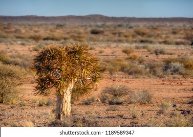 Bushmanland, Northern Cape, South Africa