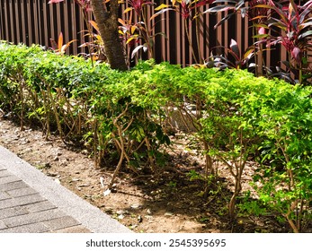 Bushy green foliage with delicate pink flowers spills over a chain-link fence, backed by concrete walls and a building with a metal railing. - Powered by Shutterstock