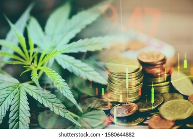 Business cannabis marijuana stock exchange market graph business / cannabis leaves on trading and investment of financial money price stock chart exchange growth and crisis money gold coin concept