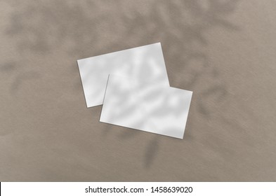 Business Card Mockup. Natural Overlay Lighting Shadows The Leaves. Business Cards 3.5x2 Inch. Scene Of Leaf Shadows.