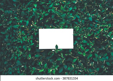 Business Card Mockup On Green Boxwood Background