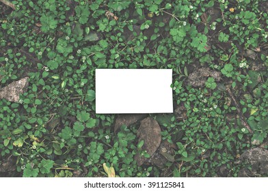 Business Card Mockup On Green Plants Background