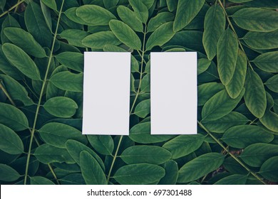 Business Card Mockup On Green Background