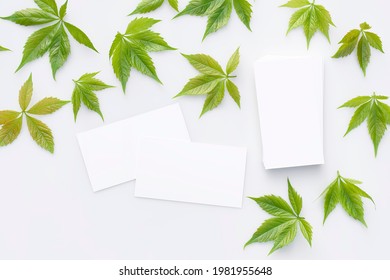 Business Cards Are Scattered On A Gray Table Among Green Fresh Leaves. Stationery, Blank, Cards, Mockup. Top View.