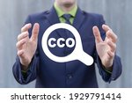 Business concept of CCO Chief Compliance Officer.