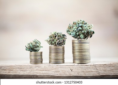 Business concept medical cannabis . marijuana stack of coins rising