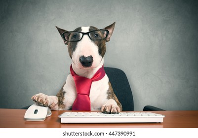 Business Dog Using His Computer