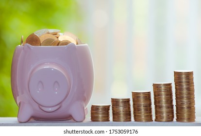 Business Finance And Money Concept,with Piggy Bank,Save Money For Prepare In The Future.tree Growing On Coin Of Stacking Gold Coins With Green Bokeh Background