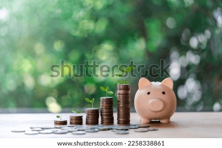 Business finance and saving money investment, Money coin stack growing graph with pink piggy bank against nature background. plant growing up on coin. Savings and investment, coin step, saving money