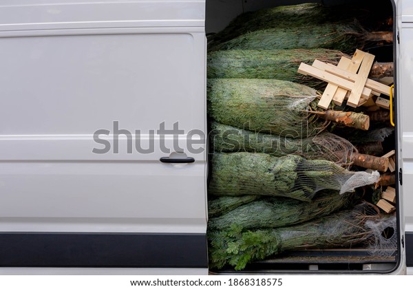 Business and financial\
concepts, Opened door of van full with Christmas trees carry for\
delivery or transport, Winter market during season greeting\
Christmas and New\
Year.