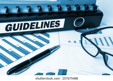 Business Folder With Label Guidelines