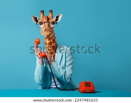  Business giraffe talking over the phone over a blue background, concept