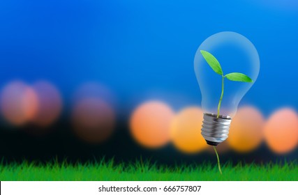 Business or idea growth concept, light bulb on blur background, financial increase market profit, nature and ecology
