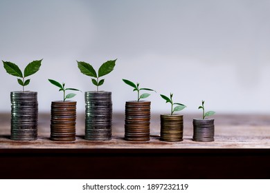 Business Investment Growth Concept. Stock Of Coins With Small Trees On Wood Bar, Saving Money.