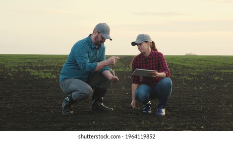 Business man and an agronomist are studying seedlings of crops in field. Business people teamwork. Farmers man, woman work in field with computer tablet. Smart farming technologies in agriculture - Shutterstock ID 1964119852