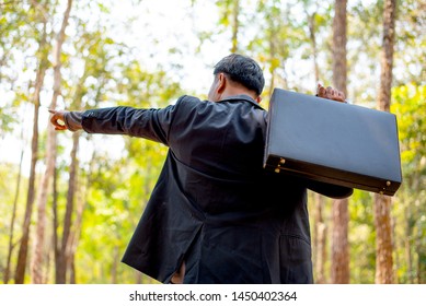 Business Man With Black Suit And Briefcase Look To The Forest And Also Point To Some Directions To Think About Plan Of Land Or Property Management.