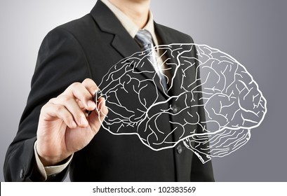 Business Man Drawing Human Brain Diagram