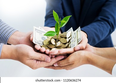 Business man hand make palm up with growing up money coins and sprout of plant savings financial concept success.