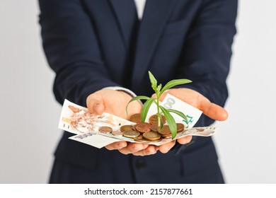 Business Man Holding Plant On Czech Money. Money Grows, Saving Money. Investment.