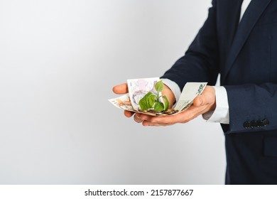 Business Man Holding Plant On 
Czech Money. Money Grow, Saving Money. Investment.