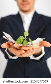 Business Man Holding Plant On 
Czech Money. Money Grow, Saving Money. Investment.