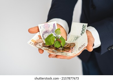 Business Man Holding Plant On 
Czech Money. Money Grow, Saving Money. Investment.