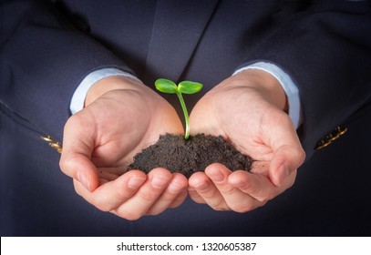 Business Man Holding Small Green Plant In Hands, Ecology And Earth Day Concept