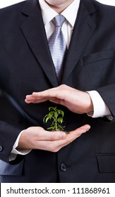 Business Man Holding A Small Plant