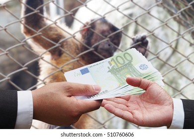 Business Man Pay Euro Money For International Trade Wild Animal. (CITES) Convention On International Trade In Endangered Species Of Wild Fauna And Flora.