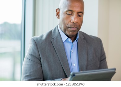 Business Man Reading Emails