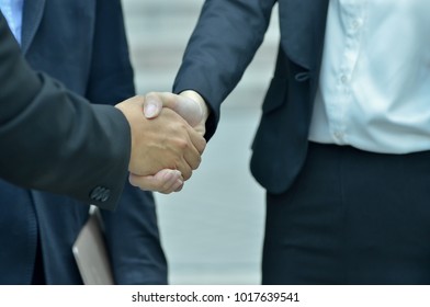 Business man and woman are shaking hands with joint success. - Shutterstock ID 1017639541