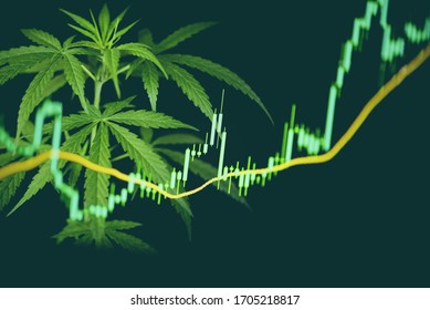 Business marijuana cannabis leaves with stock graph charts on the stock market exchange or trading analysis investment / Commercial cannabis medicine money higher value concept