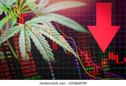 Business marijuana leaves cannabis Stock crisis red market price arrow down chart fall graph money losing moving down 