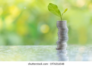 Business, Money, Financial and Saving Concept. Closeup of stack of silver coins and young shoots tree on top with green anture background.