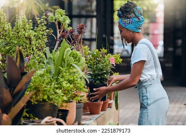 Business owner, black woman and plant shop for garden, nursery or greenhouse retail. Entrepreneur working in green startup store or market for sustainability, environment and gardening growth outdoor - Powered by Shutterstock