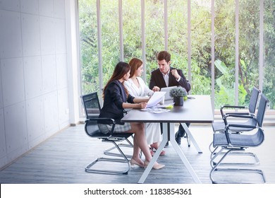 Business People Meeting And Sitting In Office Room With Green Trees Background From Window View