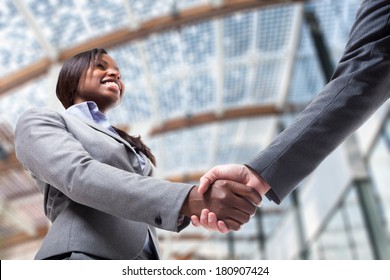Business people shaking their hands to seal a deal