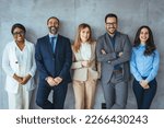 The business people standing on the gray wall background. Business team headed with boss, posing to camera over grey wall in office. Diverse businesspeople smiling at the camera 