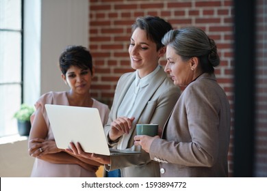 Business people using laptop computer in office team leader woman working with female colleagues discussing information on notebook device