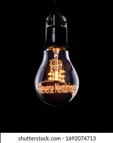 A Business Reverse Mentoring Concept In A Lit Lightbulb.