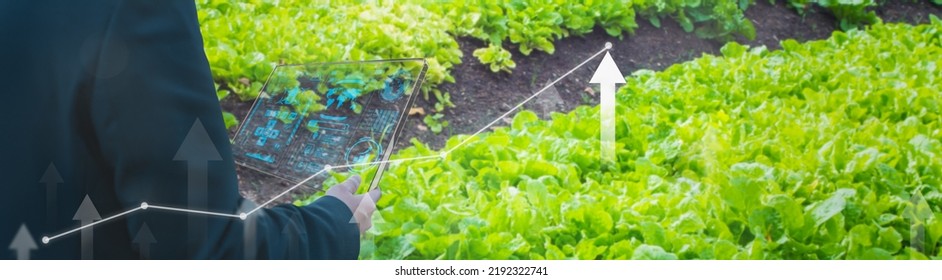 Business Smart Farmer Using Smart Tablet,farming Production Control,concept Agricultural Product Control Technology,agriculture Future Trading World Market,track Productivity,satellite For Agriculture