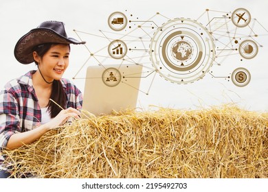 Business Woman Farmer Using Laptop In Modern Rice Planting Communication Network Logistics Foreign Export Online Trade Rice Export Industry Business Forage Hay Products.