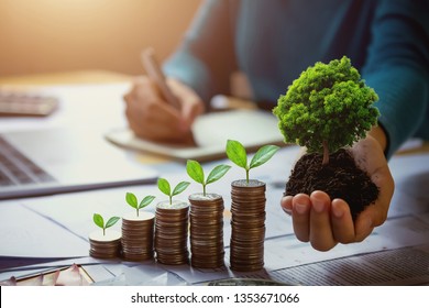 Business Woman Hand Holding Tree With Plant Growing On Coins. Concept Saving Money And Earth Day