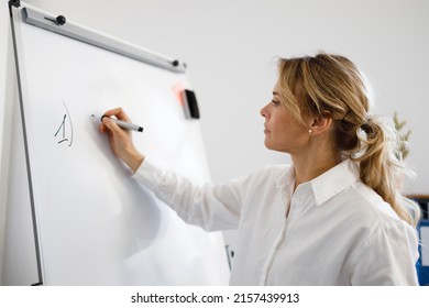 Business Woman Or Teacher Writing On Flipchart