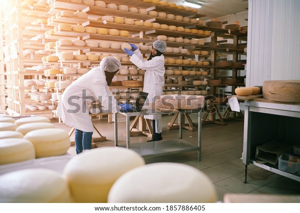 business\
woman team in local cheese production\
company