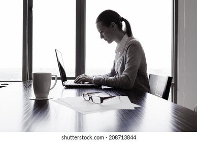 Business Woman Using Laptop Computer.