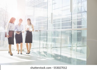 Business Women In Office 