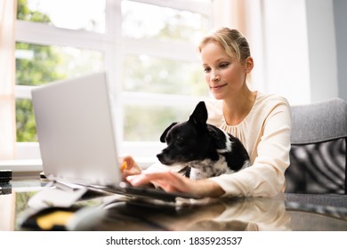 Business Women Working On Laptop Computer With Dog