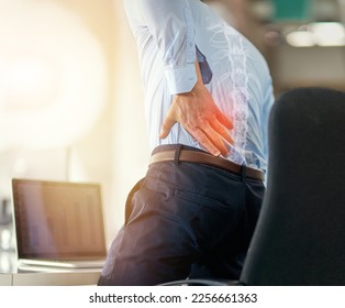 Businessman, back pain and x ray of spine from sitting and working by laptop on desk chair at the office. Employee male suffering spinal injury or slip disk with ache, inflammation or painful join